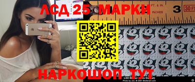 гидра Кимры