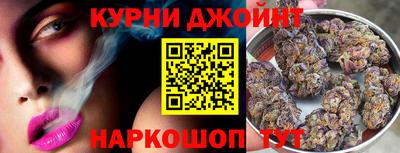 гидра Кимры