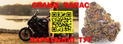 гидра Кимры