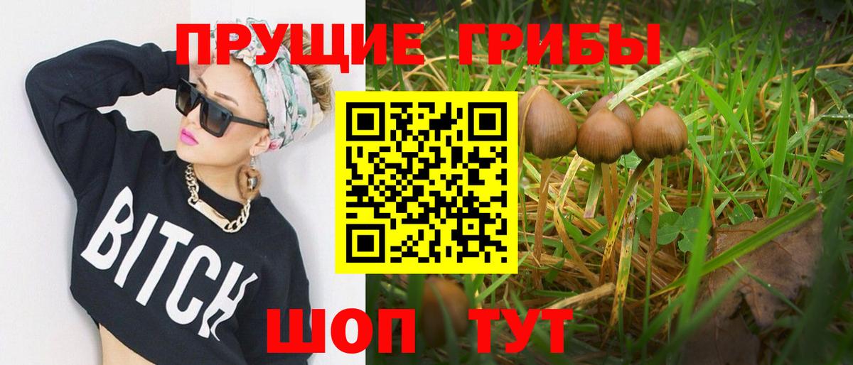 Егорьевск  Галлюциногенные грибы прущие грибы  Псилоцибиновые грибы MAGIC MUSHROOMS  Вход с VPN 
