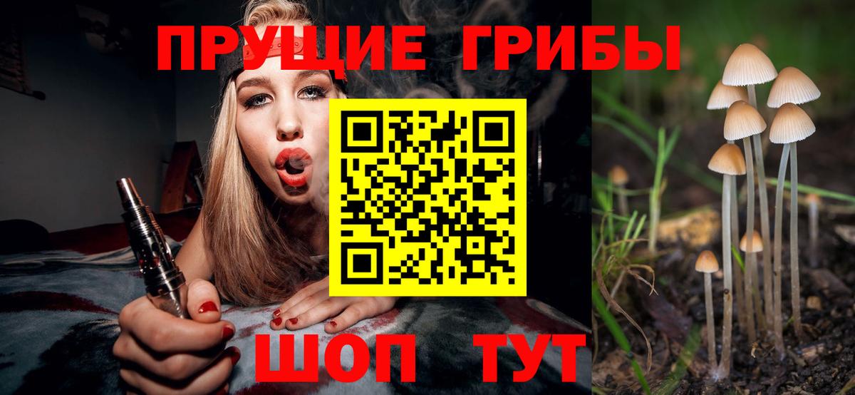 Псилоцибиновые грибы MAGIC MUSHROOMS Егорьевск